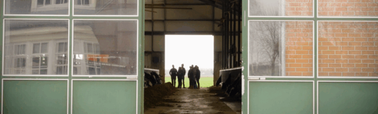 Toezicht Veehouderij